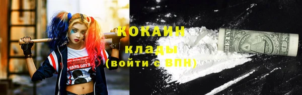 индика Медногорск
