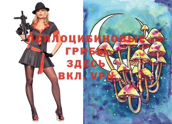 МДПВ Медвежьегорск