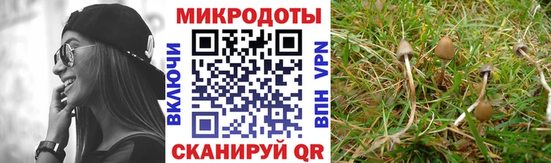 Галлюциногенные грибы Magic Shrooms  маркетплейс клад  Набережные Челны 