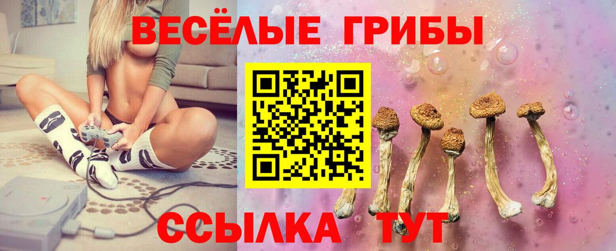 Псилоцибиновые грибы Psilocybine cubensis Россия
