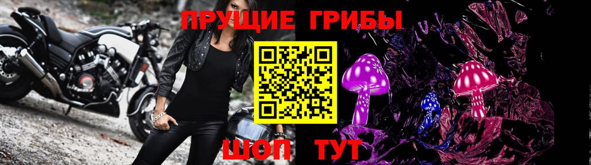 Россия  Псилоцибиновые грибы мицелий  Вход с VPN 
