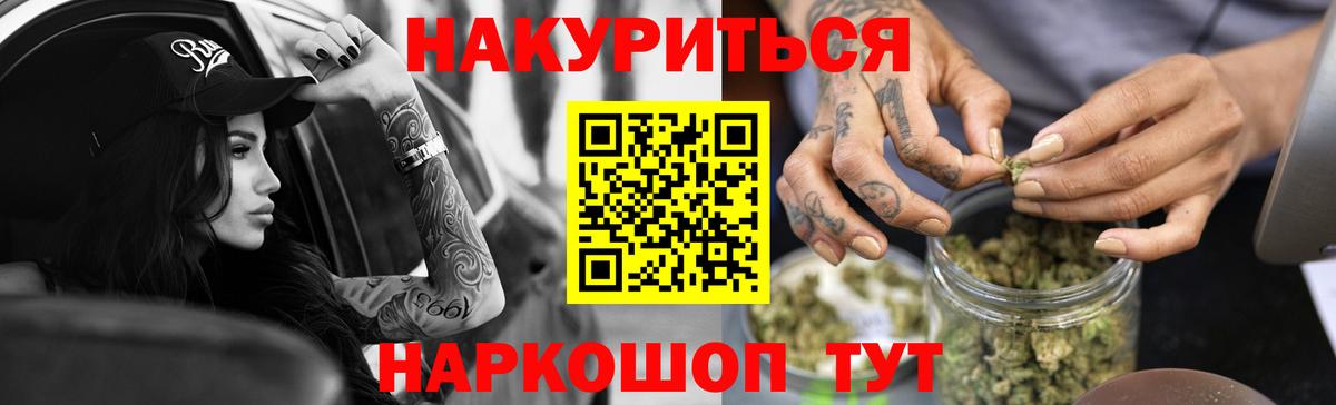 Конопля гибрид Россия